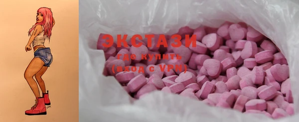 ECSTASY Бородино